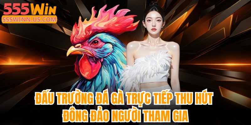 555win-dau-truong-da-ga