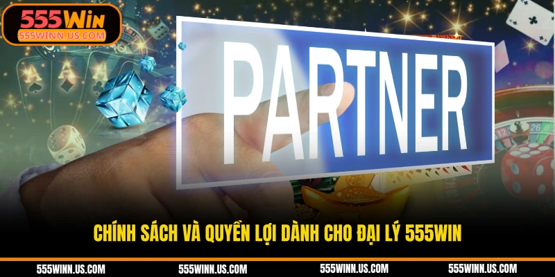 chinh-sach-va-quyen-loi-danh-cho-dai-ly-555win