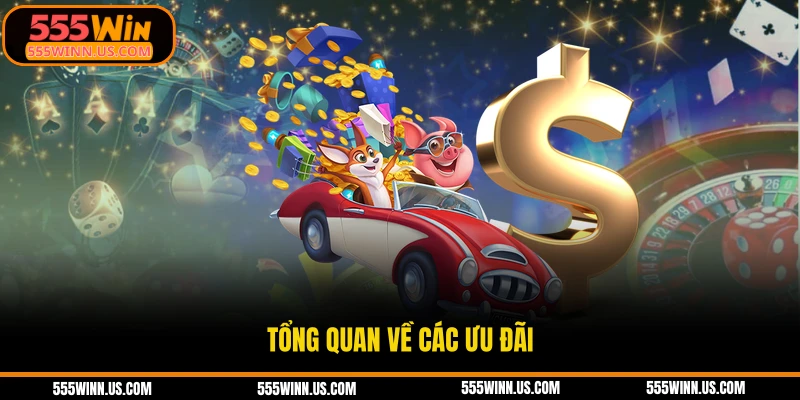 tong-quan-ve-cac-uu-dai